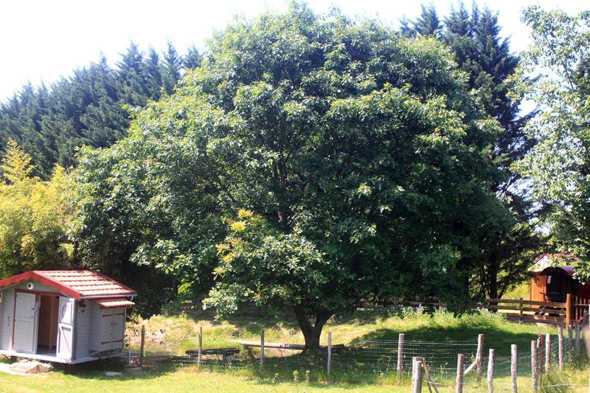 Tente Trappeur Ada, Au Jardin De La Vouivre Saint-Vincent-en-Bresse Екстер'єр фото