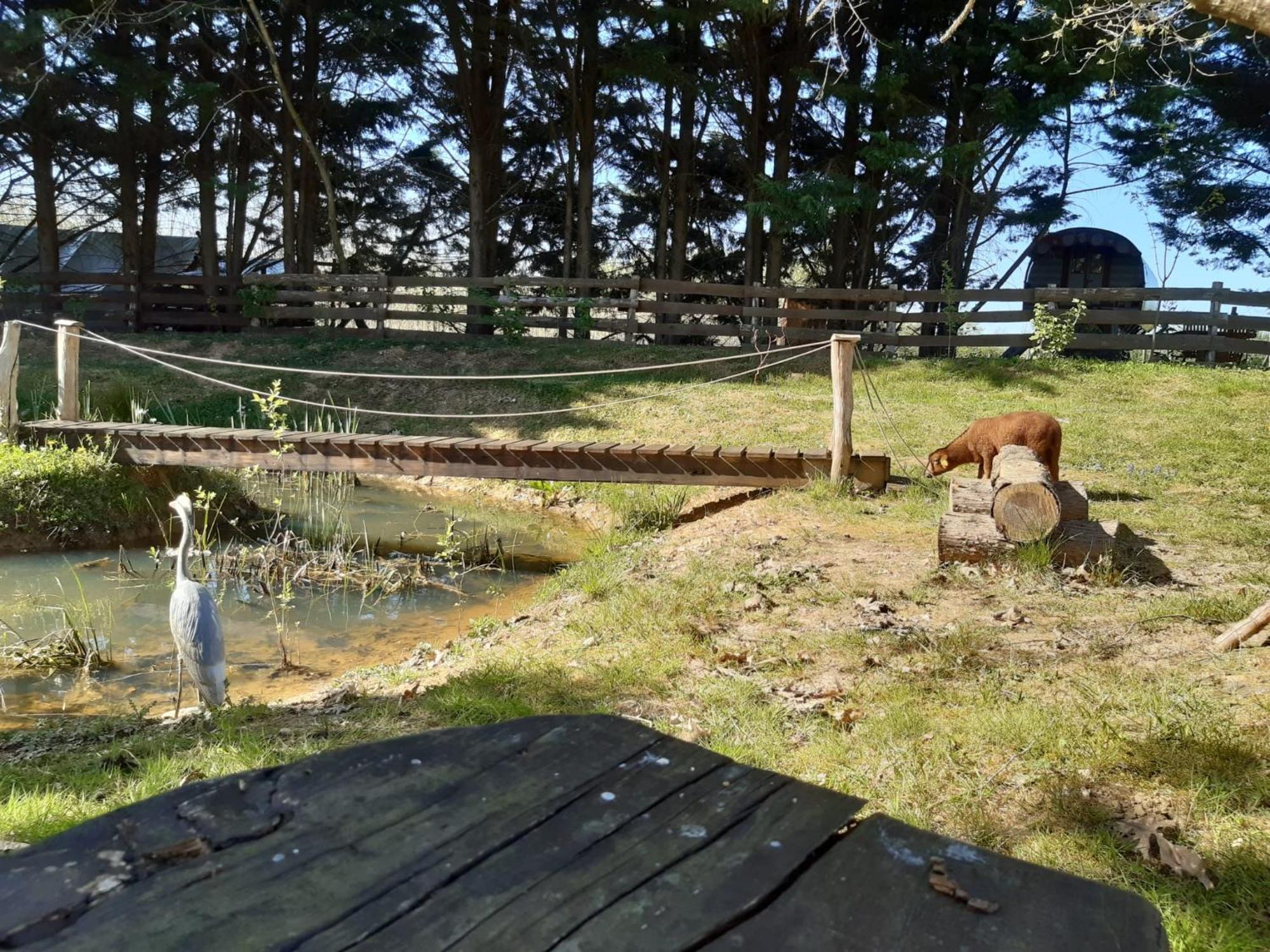 Tente Trappeur Ada, Au Jardin De La Vouivre Saint-Vincent-en-Bresse Екстер'єр фото